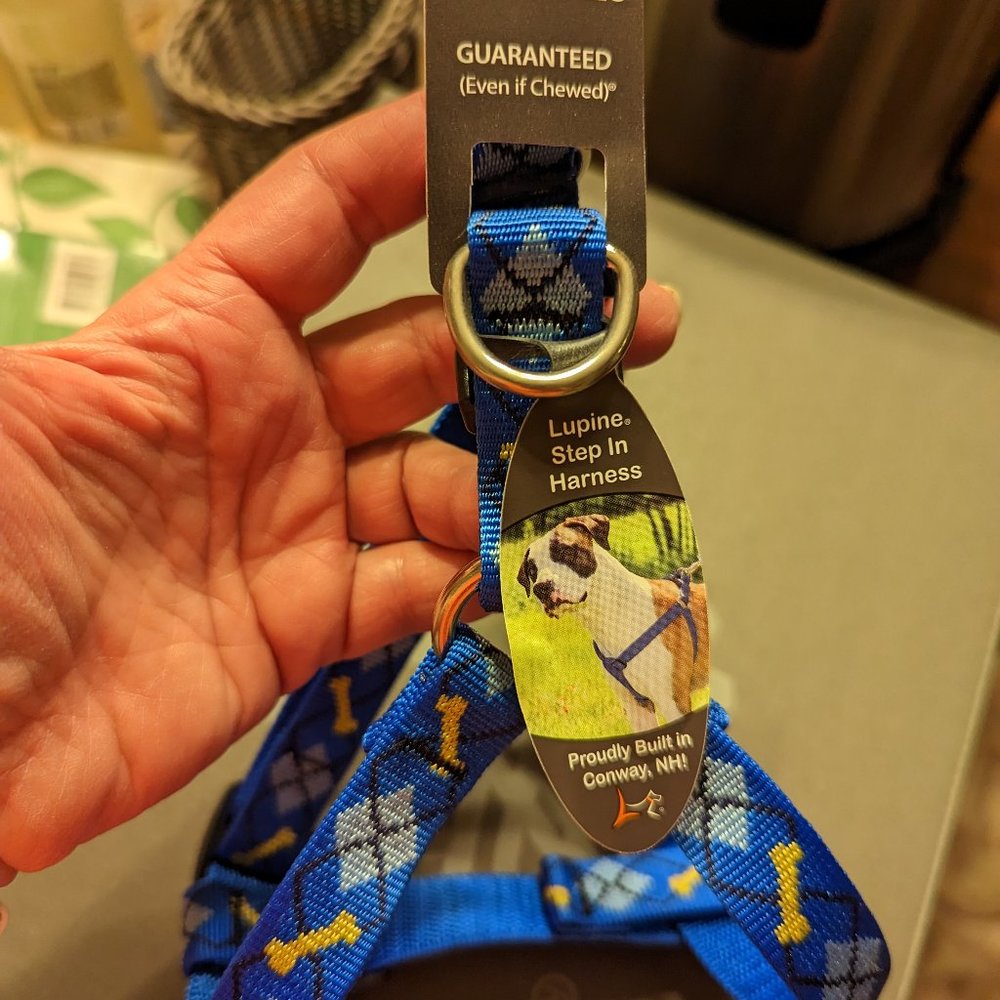 Lupine 3/4 in Dapper Dog Step In Harness